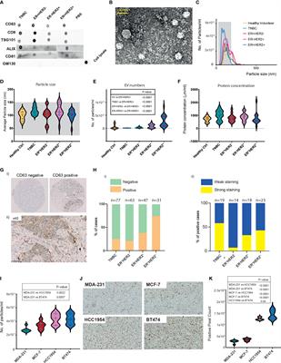 Serum-derived extracellular vesicles from breast cancer patients contribute to differential regulation of T-cell-mediated immune-escape mechanisms in breast cancer subtypes